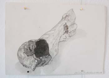 Christel Kortenbach: Knochen